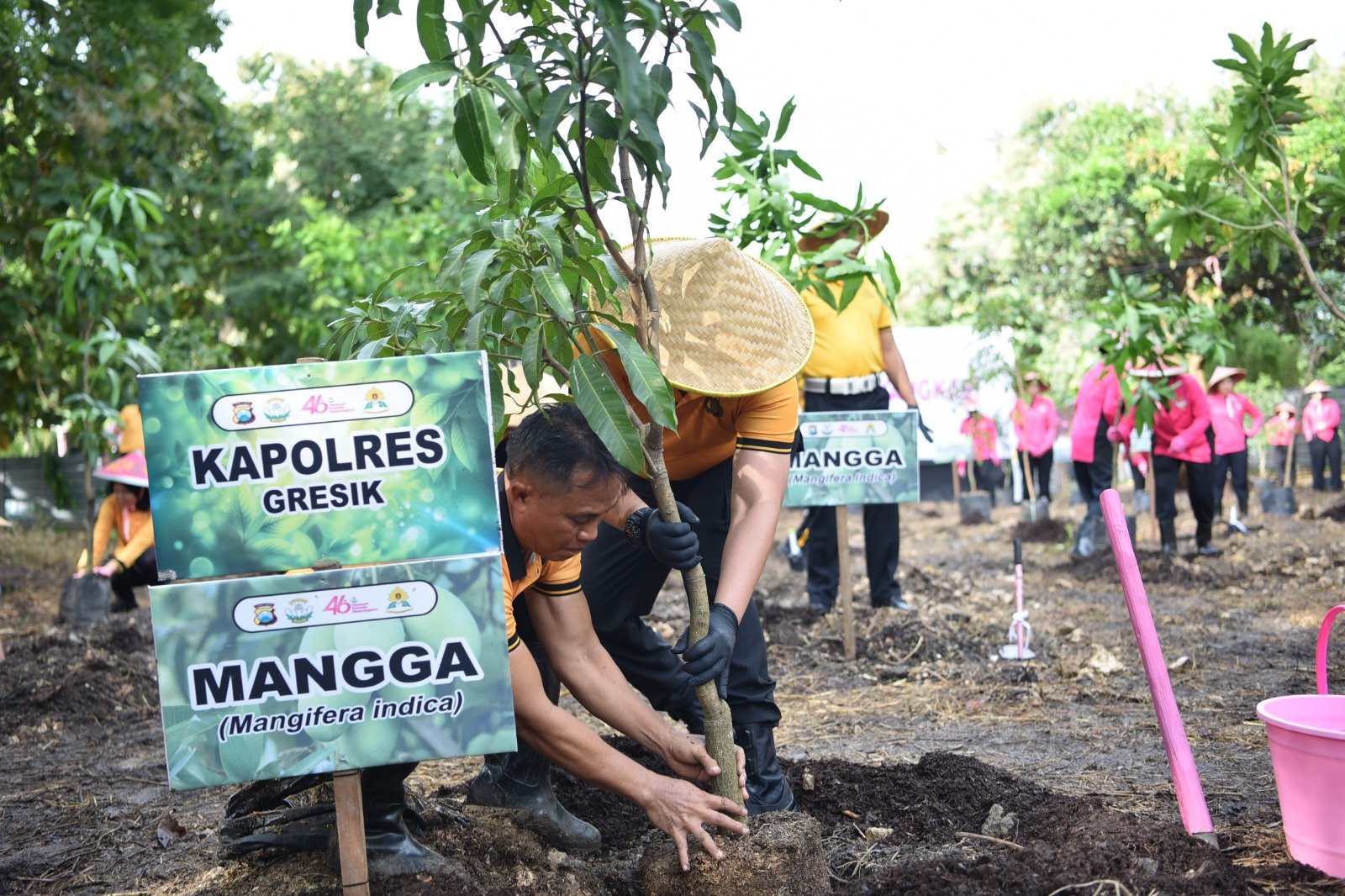 Hijaukan Gresik, Yayasan Kemala Bhayangkari Tanam Puluhan Pohon Produktif di Asrama Randuagung