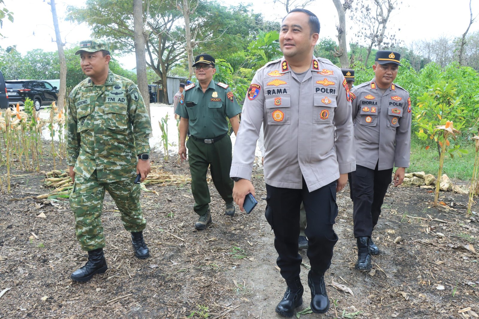 Dukung Ketahanan Pangan Nasional, Polres Gresik Sukses Panen Raya Jagung 80 Ton di Panceng dan Salurkan Bantuan untuk Petani