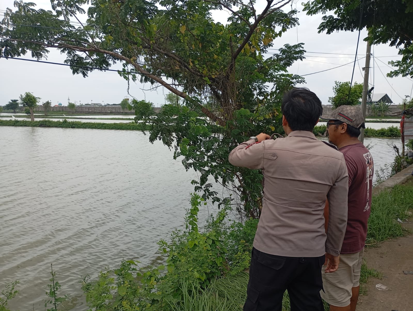 Dukung Program ketahanan pangan daerah, Polsek Duduksampeyan meninjau Tambak Ikan Bandeng di Desa Pandanan.