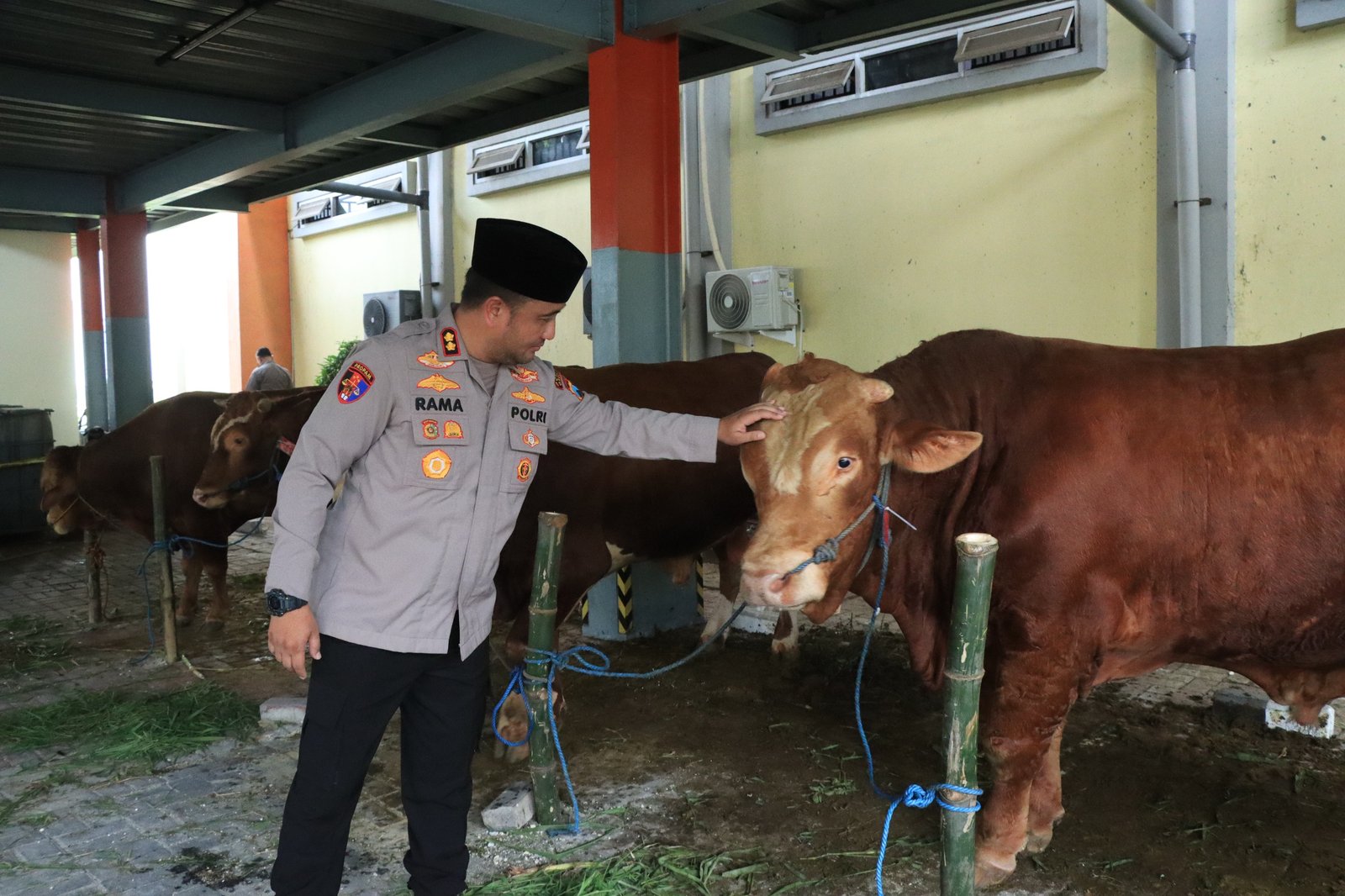 Polres Gresik Salurkan Hewan Qurban Iduladha 2026, Wujud Kepedulian dan Kebersamaan