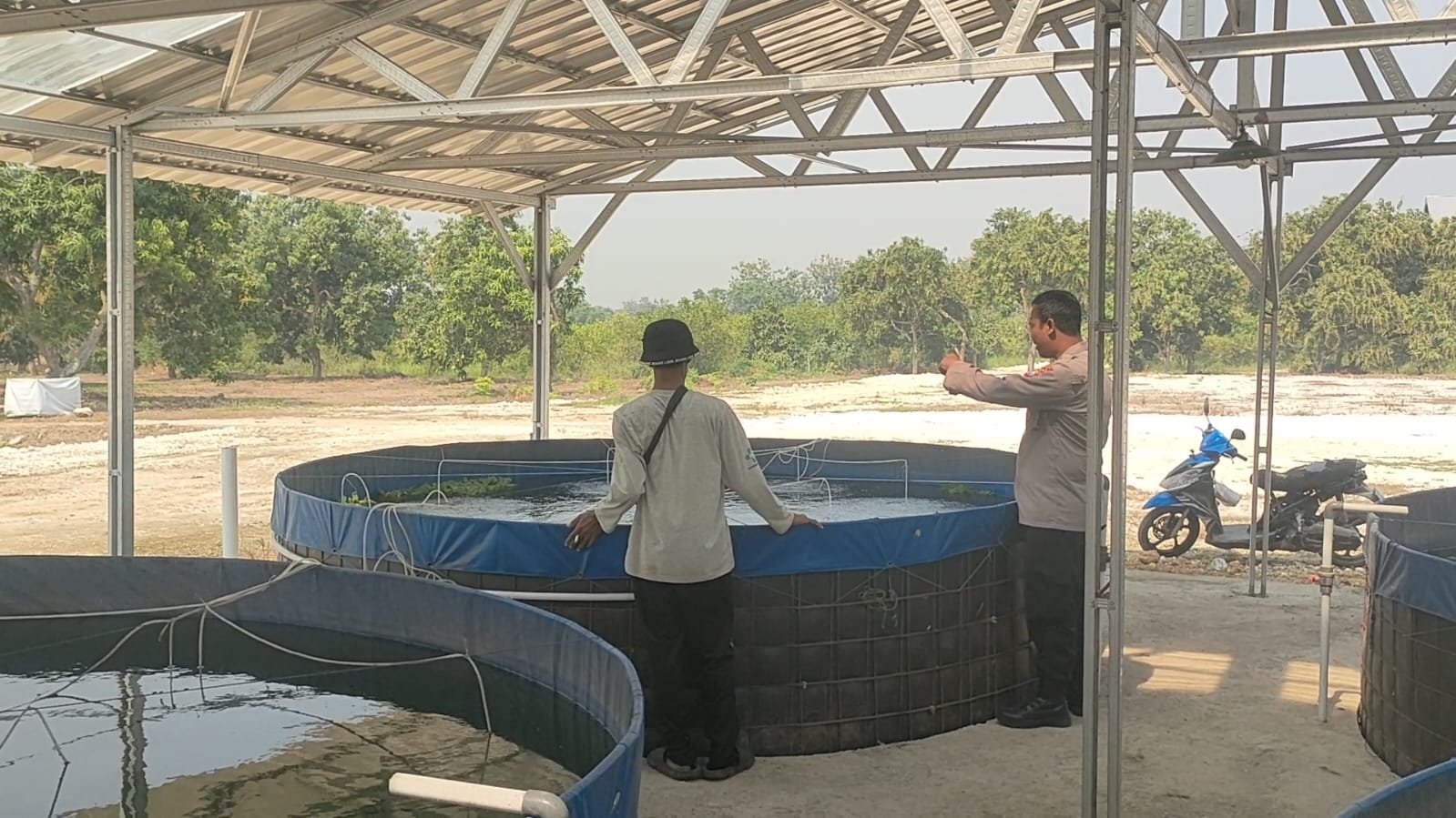 Polsek Sidayu Cek Kolam Lele di Desa Lasem, Wujud Komitmen Dukung Swasembada Pangan