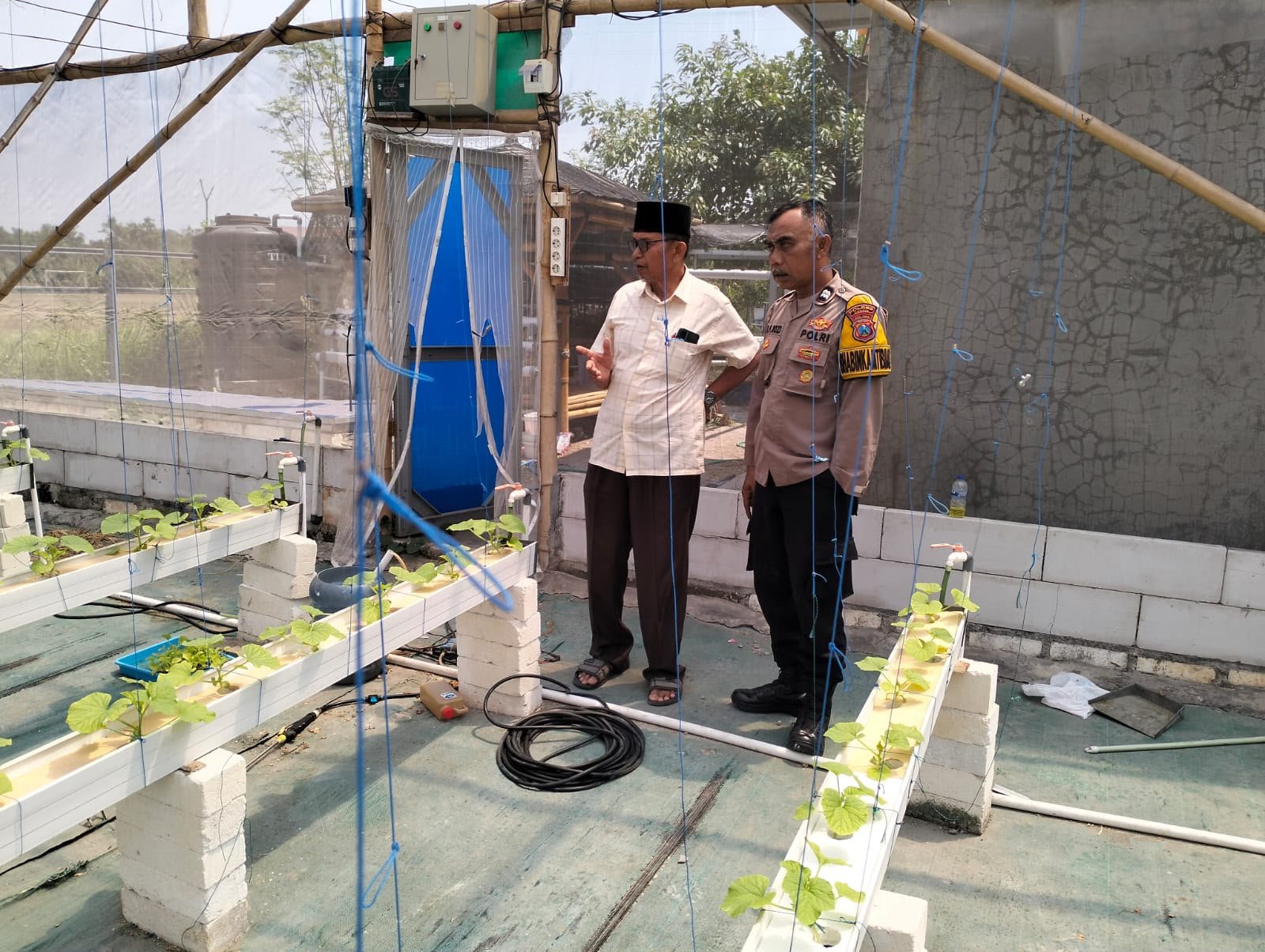 Optimalisasi Lahan Produktif, Polsek Manyar Cek Budidaya Melon di Desa Suci