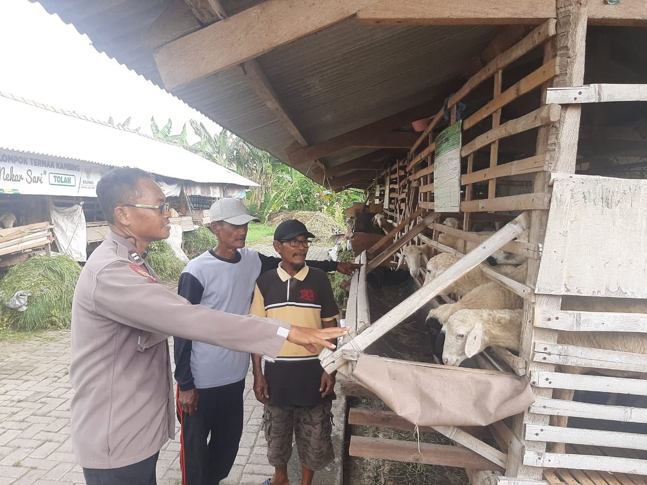 Jaga Kesehatan Ternak, Polsek Kebomas Cek Peternakan Kambing di Kembangan