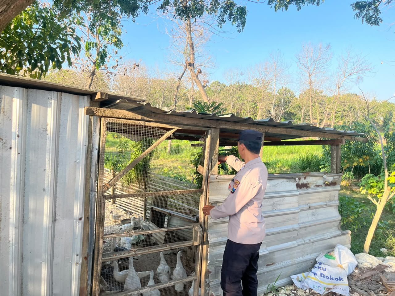 Sinergi Polri dan Warga, Polsek Panceng Dukung Peternakan Bebek Mentok