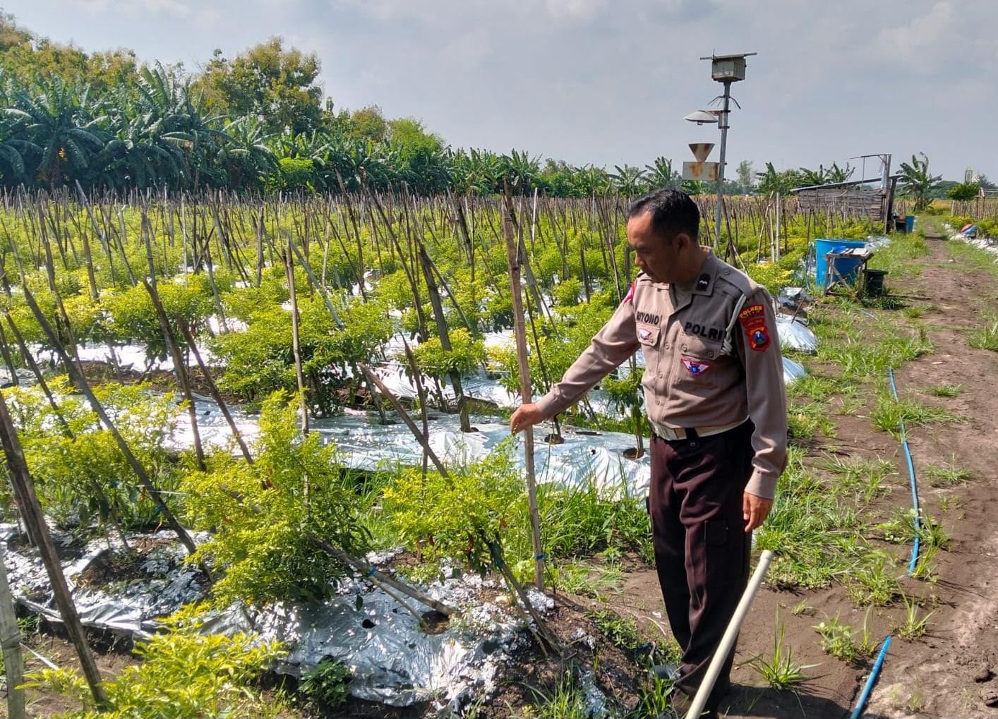 Polri Hadir Dukung Potensi Pangan Lokal, Polsek Kawasan Pelabuhan Cek Kolam Ikan