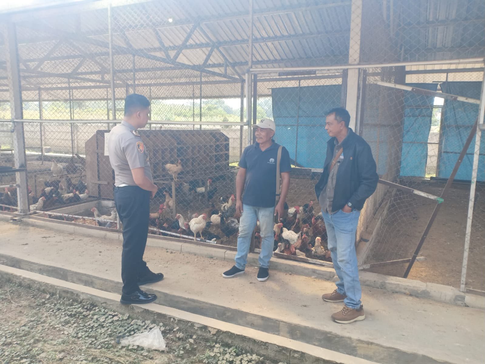 Sinergi Polsek Kedamean dan Peternak Ayam Gresik Demi Tingkatkan Kesejahteraan Warga